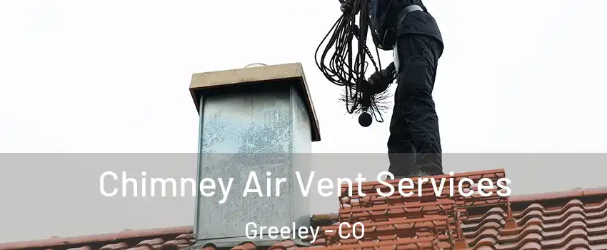  Chimney Air Vent Services Greeley - CO