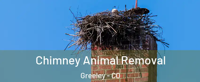  Chimney Animal Removal Greeley - CO