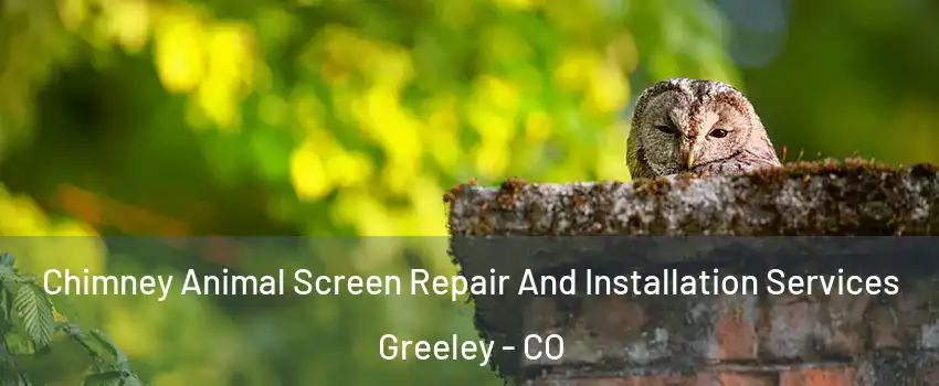  Chimney Animal Screen Repair And Installation Services Greeley - CO