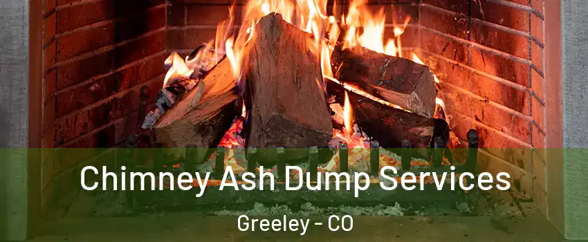  Chimney Ash Dump Services Greeley - CO