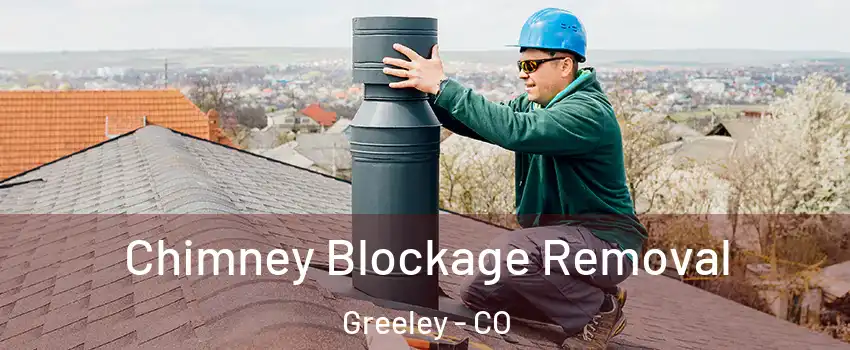  Chimney Blockage Removal Greeley - CO