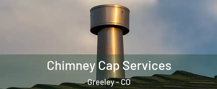  Chimney Cap Services Greeley - CO