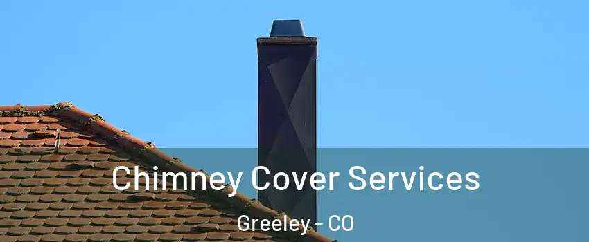  Chimney Cover Services Greeley - CO