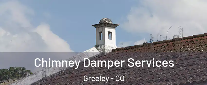  Chimney Damper Services Greeley - CO