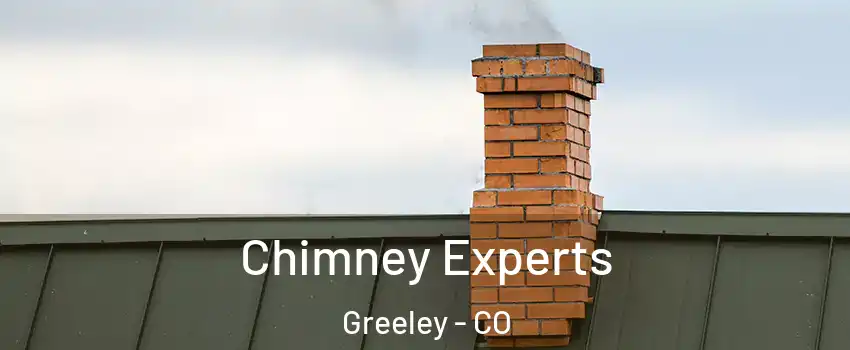  Chimney Experts Greeley - CO