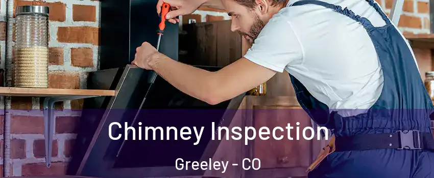  Chimney Inspection Greeley - CO