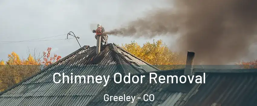  Chimney Odor Removal Greeley - CO
