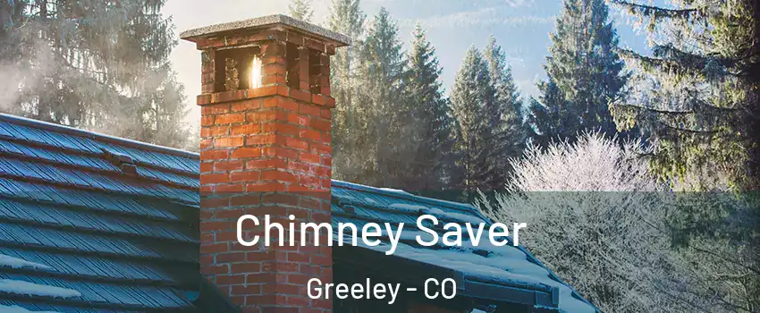  Chimney Saver Greeley - CO