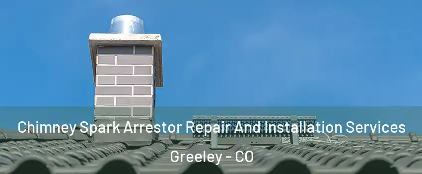  Chimney Spark Arrestor Repair And Installation Services Greeley - CO