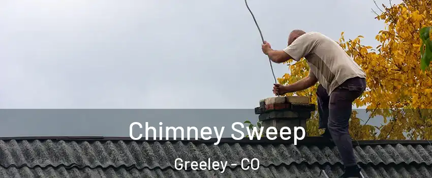  Chimney Sweep Greeley - CO