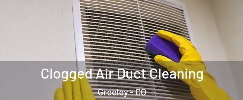  Clogged Air Duct Cleaning Greeley - CO