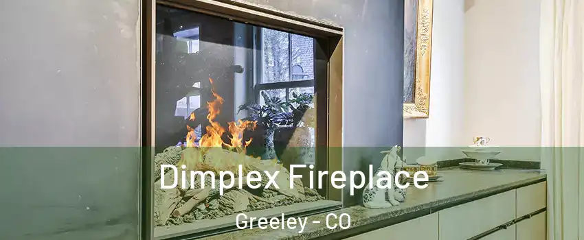  Dimplex Fireplace Greeley - CO