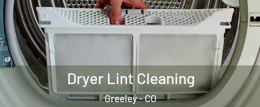  Dryer Lint Cleaning Greeley - CO