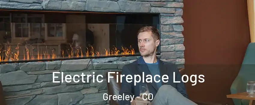  Electric Fireplace Logs Greeley - CO