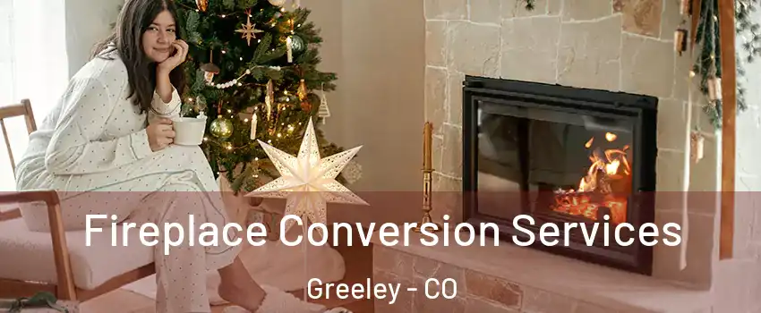  Fireplace Conversion Services Greeley - CO