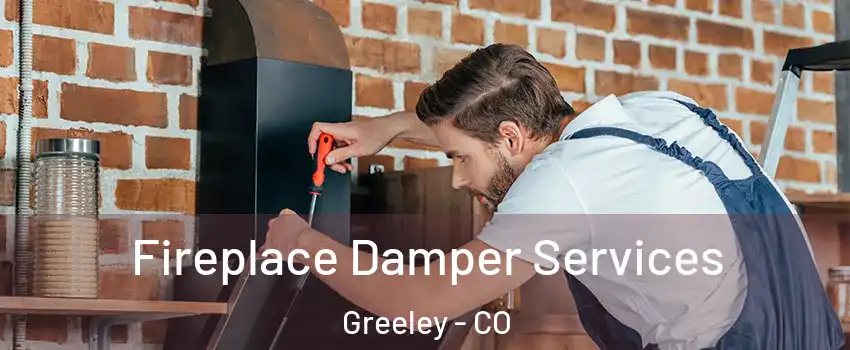  Fireplace Damper Services Greeley - CO
