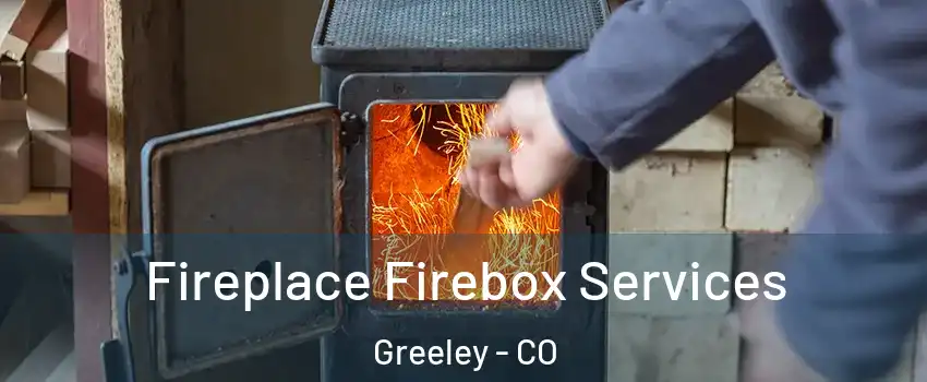  Fireplace Firebox Services Greeley - CO