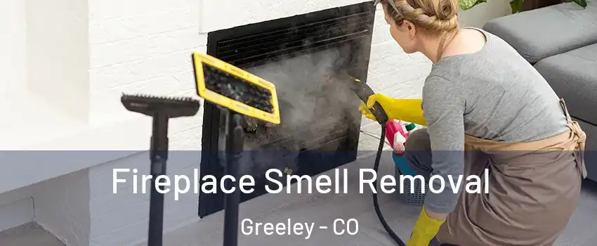  Fireplace Smell Removal Greeley - CO
