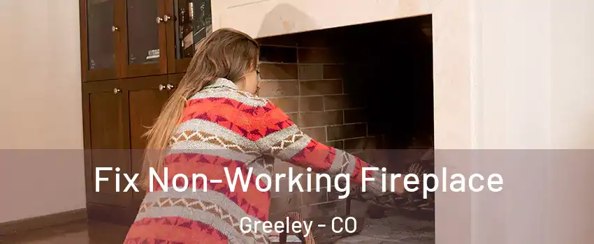  Fix Non-Working Fireplace Greeley - CO