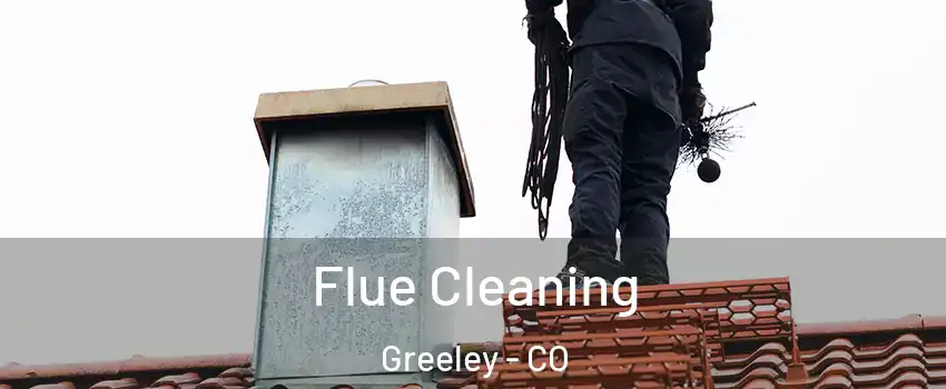  Flue Cleaning Greeley - CO