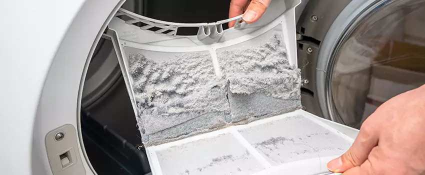 Best Dryer Lint Removal Company in Greeley, Colorado
