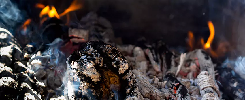 Creosote Removal Experts in Greeley, CO