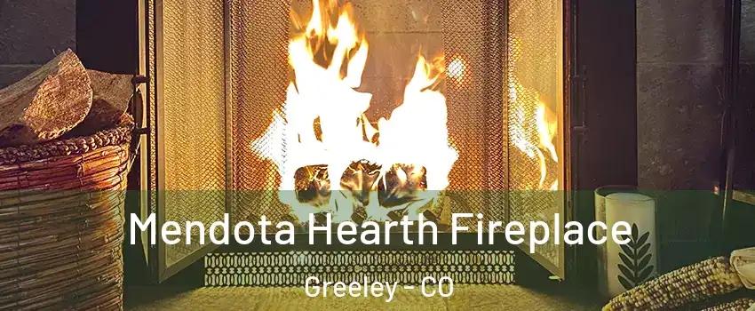  Mendota Hearth Fireplace Greeley - CO