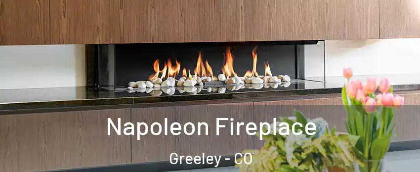  Napoleon Fireplace Greeley - CO