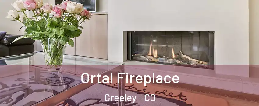  Ortal Fireplace Greeley - CO