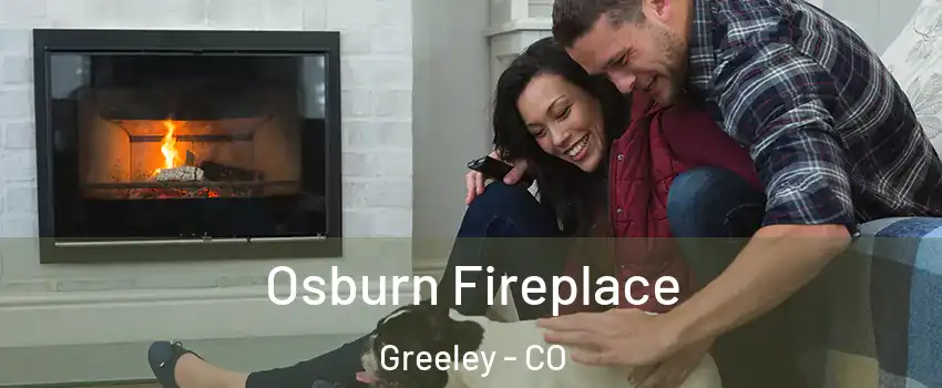  Osburn Fireplace Greeley - CO