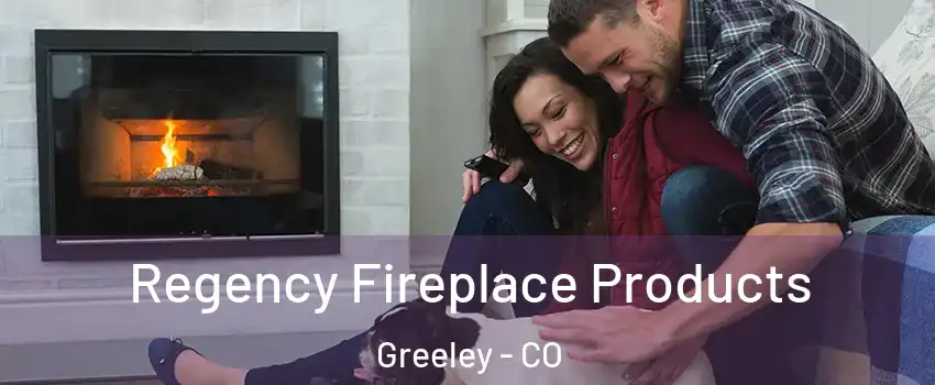  Regency Fireplace Products Greeley - CO